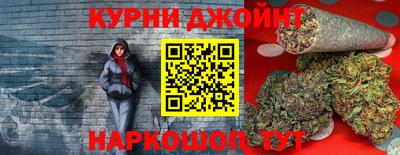гидра Малгобек